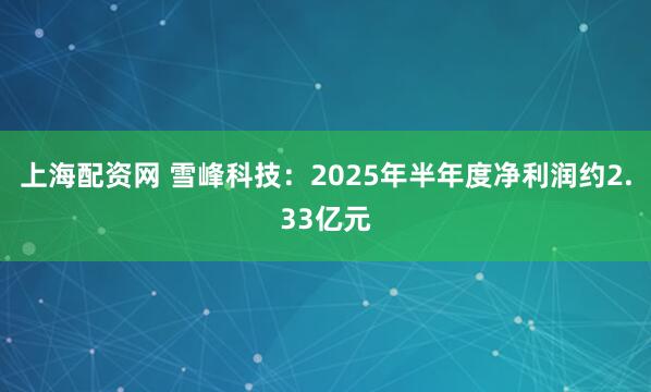 上海配资网 雪峰科技：2025年半年度净利润约2.33亿元