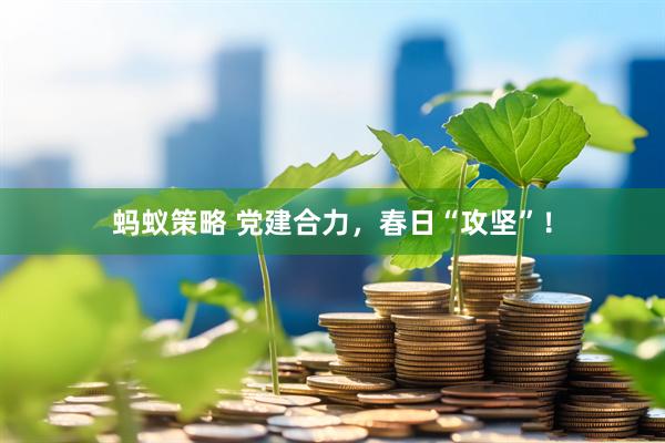 蚂蚁策略 党建合力，春日“攻坚”！